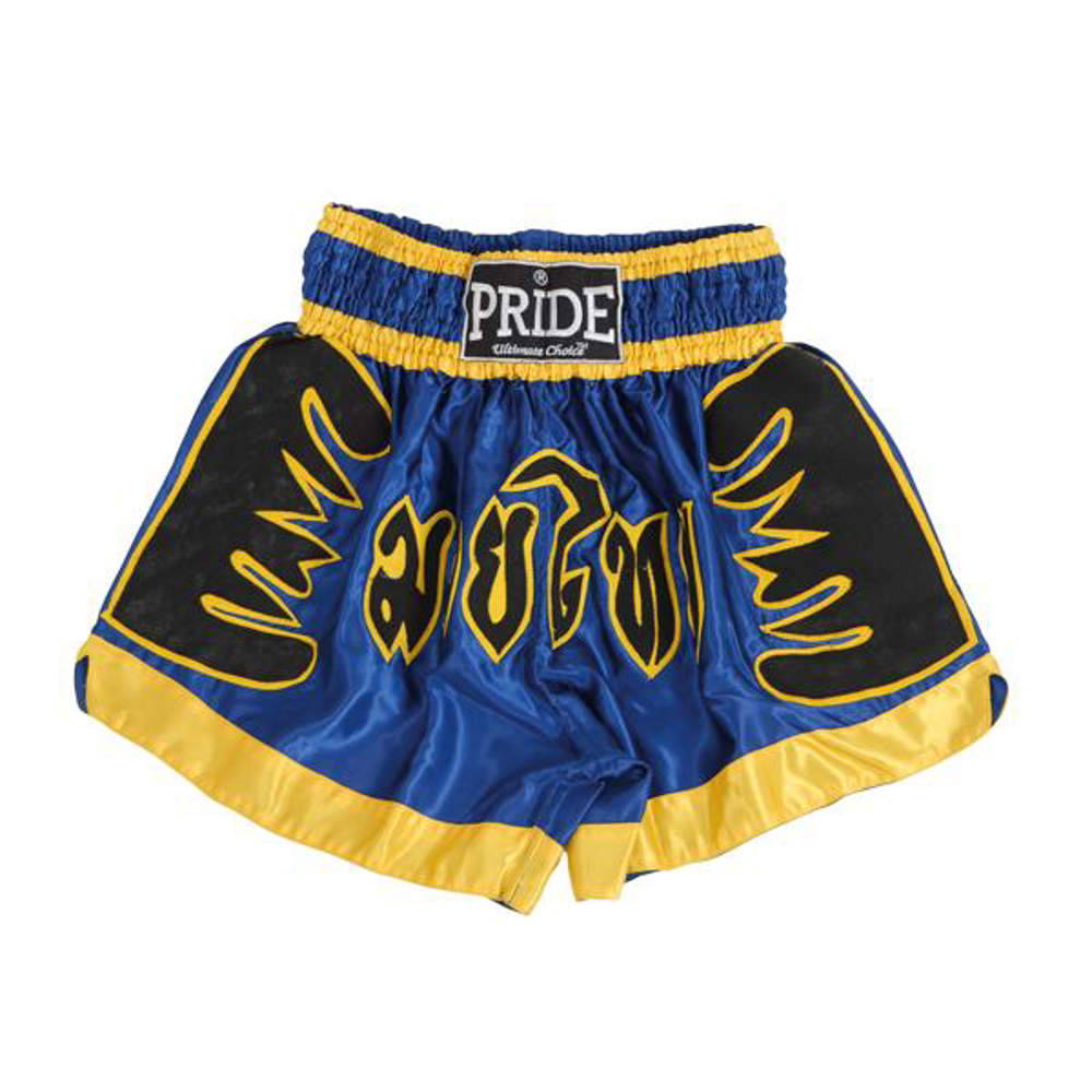 Picture of Kickboxing and Thai boxing trunks