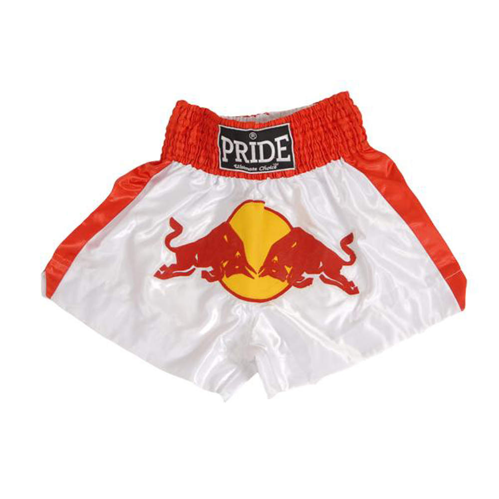 Picture of Kickboxing and Thai boxing trunks