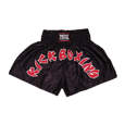 Picture of Professional kickboxing trunks