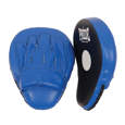 Picture of Professional training focus mitts