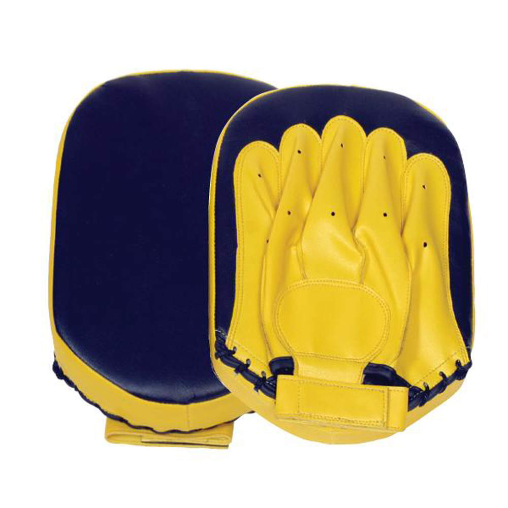 Picture of Training focus mitts