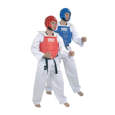 Picture of Offizielle hochwertige Taekwondo-Rüstung, reversibel