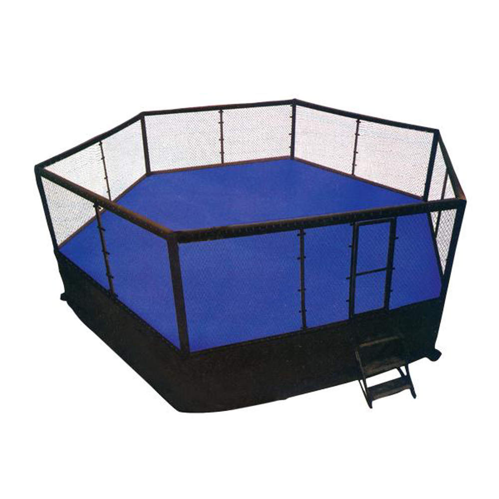 Picture of Pro MMA cage