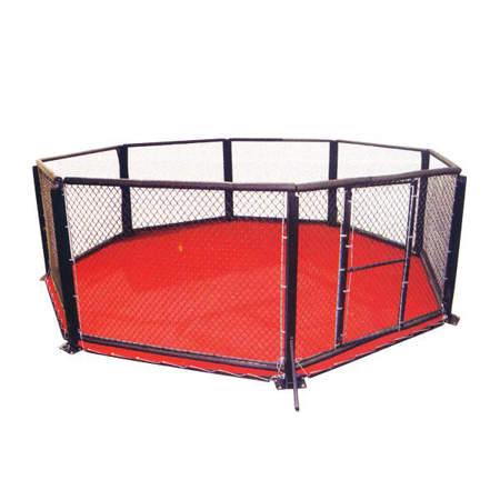 Picture of Floor MMA cage