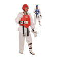 Picture of Taekwondo set