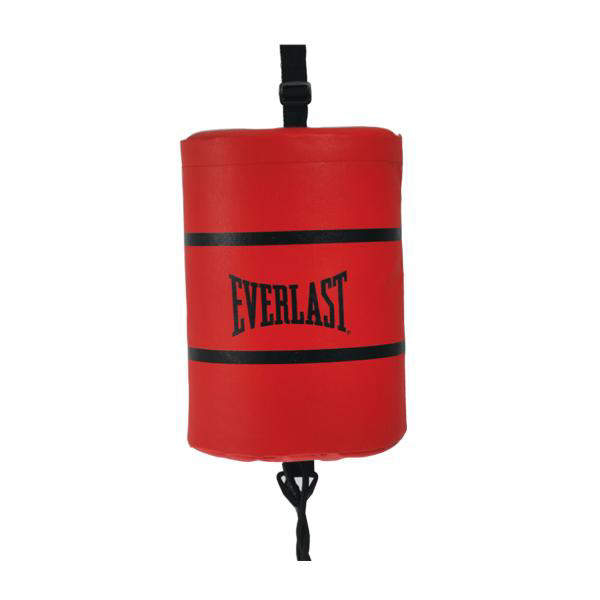Everlast speed bag with a double end Pride