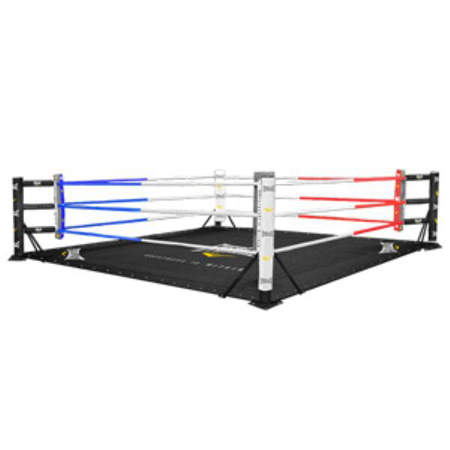 Picture of Everlast® pro floor ring