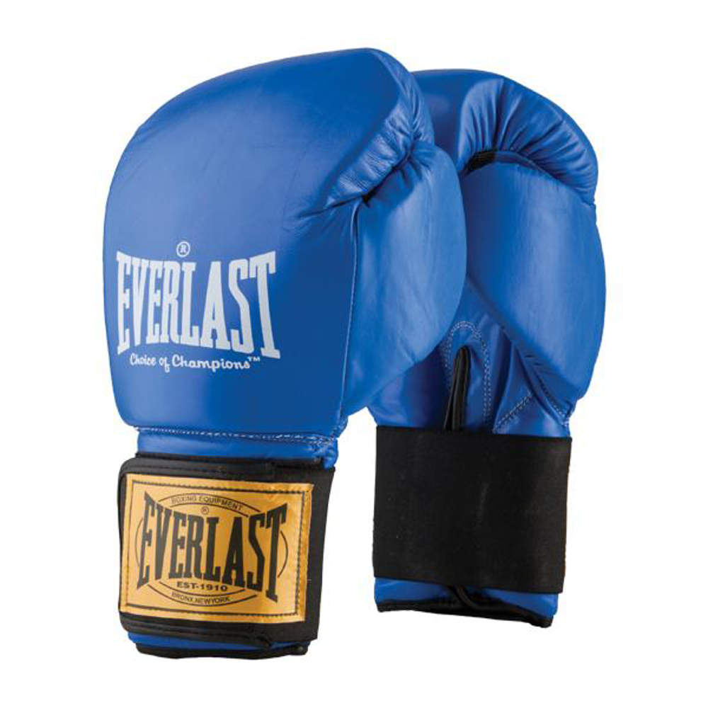 Picture of Everlast professional gloves Ray