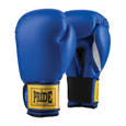 Picture of PRIDE Training gloves