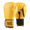 Picture of PRIDE Training gloves