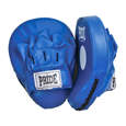 Picture of Training focus mitts