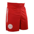 Picture of adidas Kick Light WAKO kickboxing shorts 