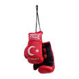 Picture of Miniature boxing gloves collection "Country PRIDE" 