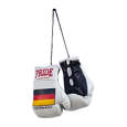 Picture of Miniature boxing gloves collection "Country PRIDE" 