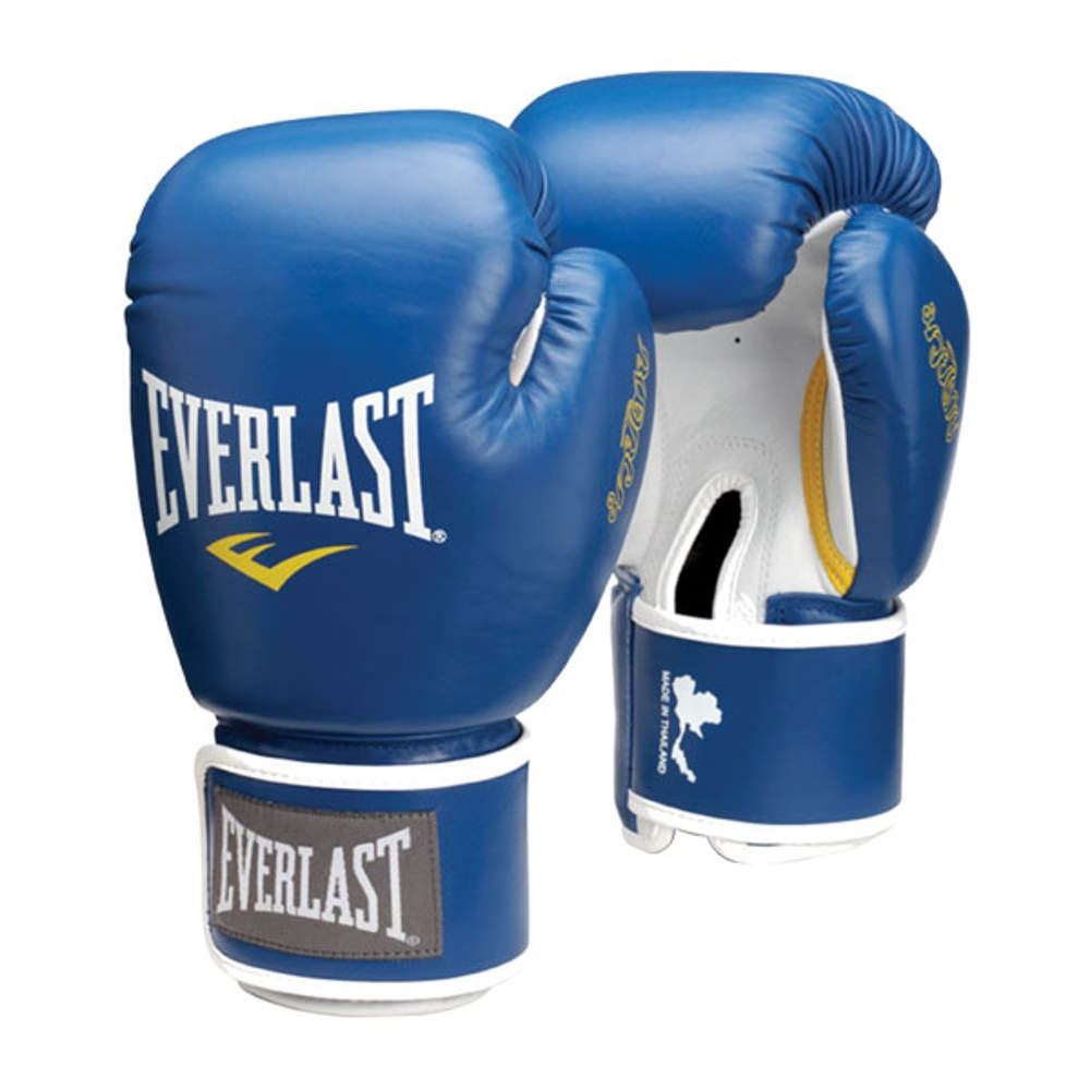 Picture of Everlast Premium Muay Thai gloves