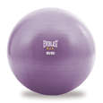 Picture of Everlast stability ball 