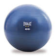 Picture of Everlast stability ball 