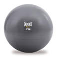 Picture of Everlast stability ball 