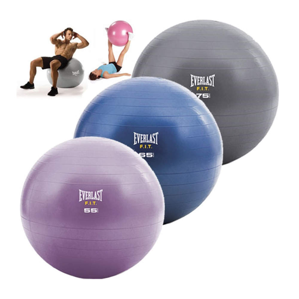 Picture of Everlast stability ball 