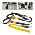 Picture of PRIDE system of workout straps - Suspension Trainer 