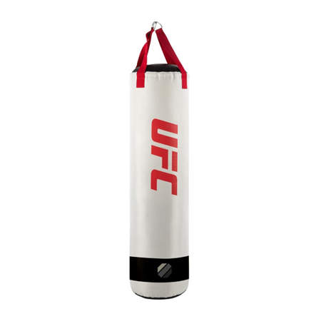 Picture of UFC punching bag