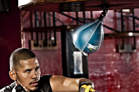 Picture for category Speed bags and Balls