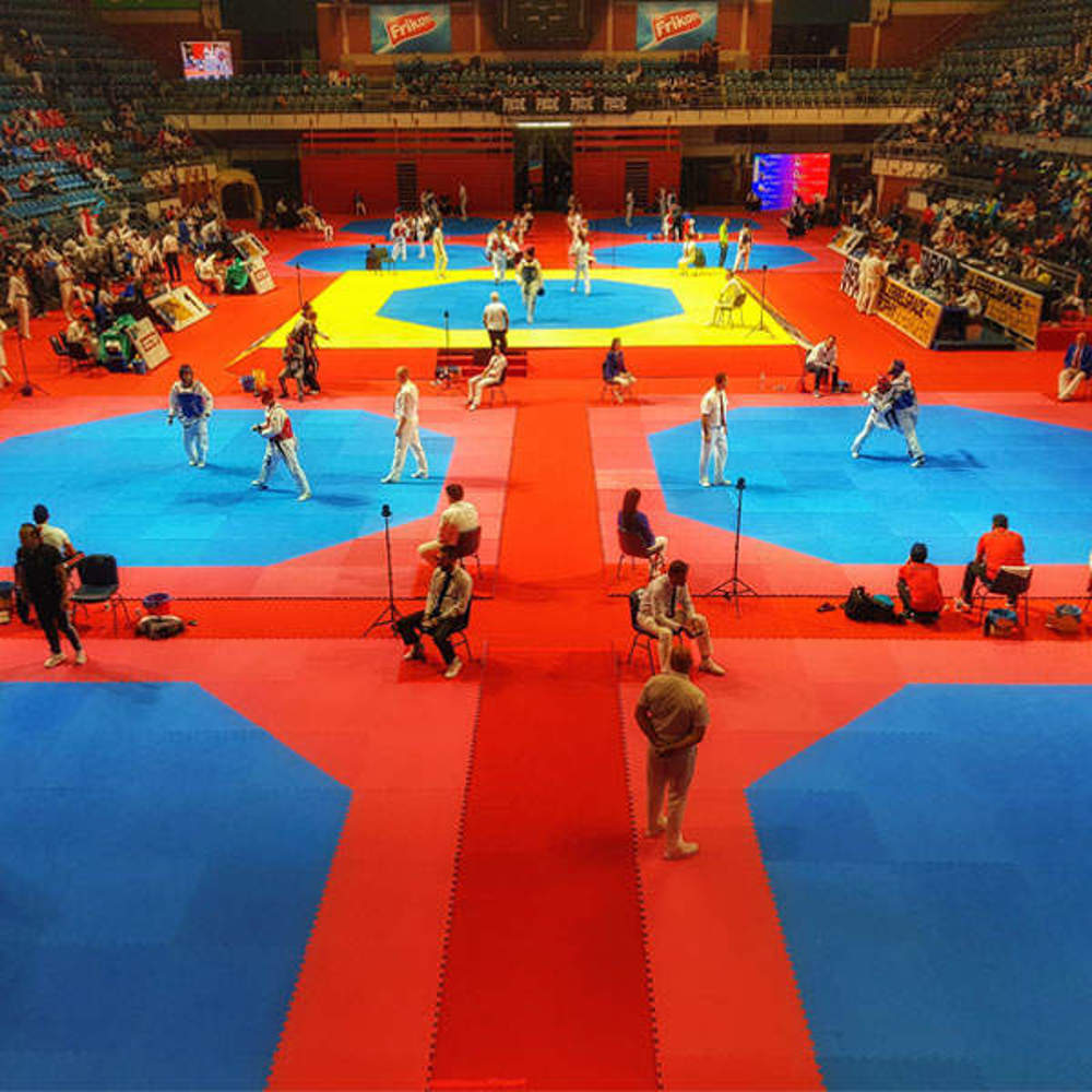 Picture of Rental of octagonal WT taekwondo rings