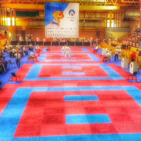 Picture of Rental of tatami mats 