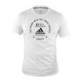 Picture of adidas karate t-shirt