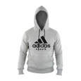 Picture of adidas karate hoodie