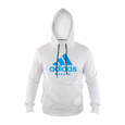 Picture of adidas karate hoodie