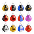 Picture of PRIDE Professional body kick training bag