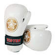 Picture of Top Ten point fighting / semi contact gloves