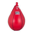 Picture of Reyes speed bag