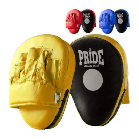 Picture of Professional training focus mitts