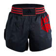 Picture of adidas kickboxing short