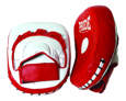 Picture of Professional training focus mitts