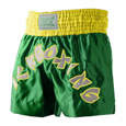 Picture of Professional kickboxing trunks