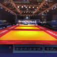 Picture of Judo tatami