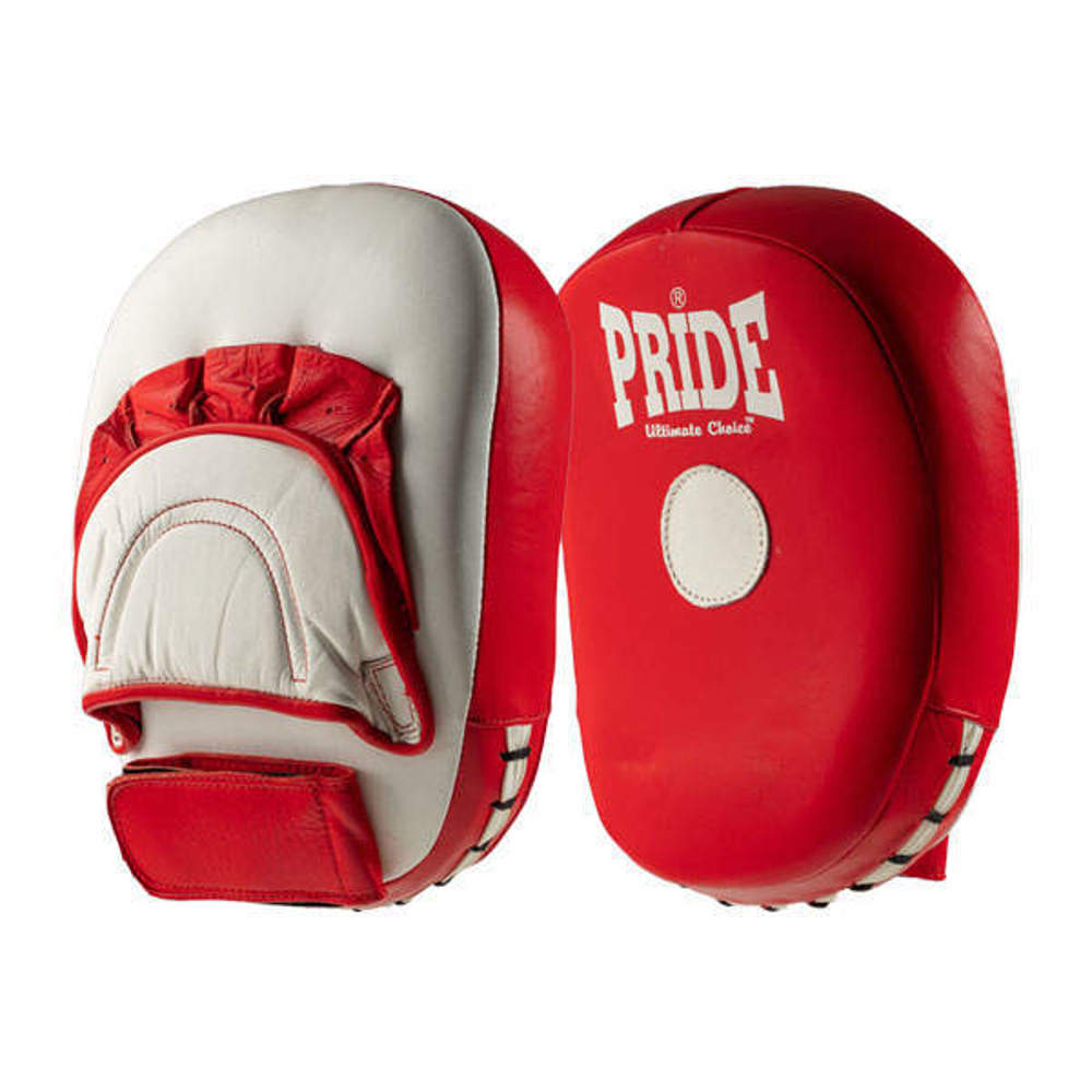 Picture of Professional training focus mitts