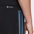 Picture of All Blacks Rugby Presentation Pants