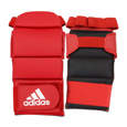 Picture of Ju Jitsu gloves