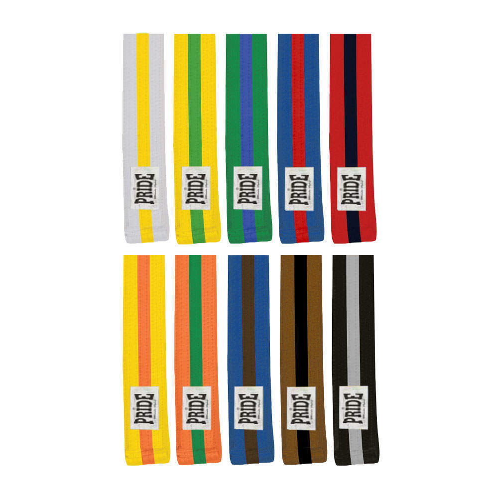 Picture of Two-colour belt with stripes