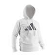 Picture of adidas kickboxing hoodie