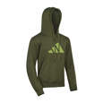 Picture of adidas boxing hoodie