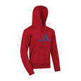 Picture of adidas judo hoodie