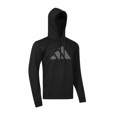 Picture of adidas judo hoodie