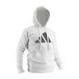 Picture of adidas judo hoodie
