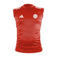 Picture of adidas Kick Light WAKO kickboxing shirt  