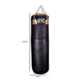 Picture of Cleto Reyes Heavy Bag